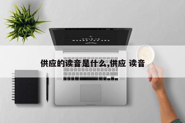 供应的读音是什么,供应 读音