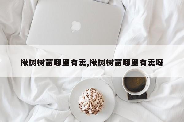 楸树树苗哪里有卖,楸树树苗哪里有卖呀