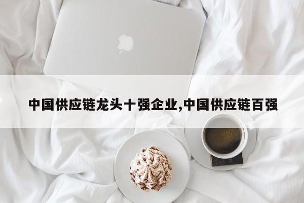 中国供应链龙头十强企业,中国供应链百强