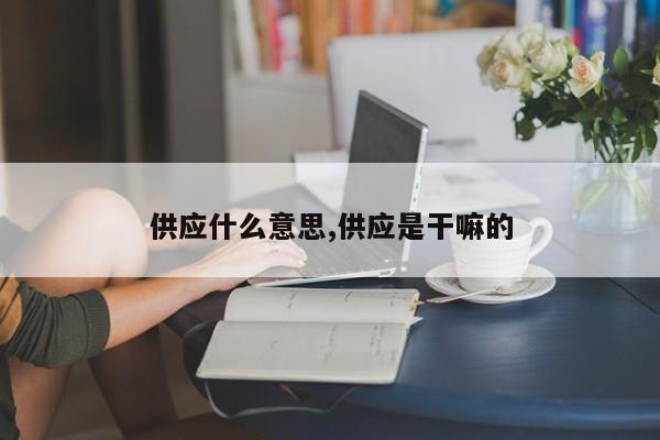 供应什么意思,供应是干嘛的