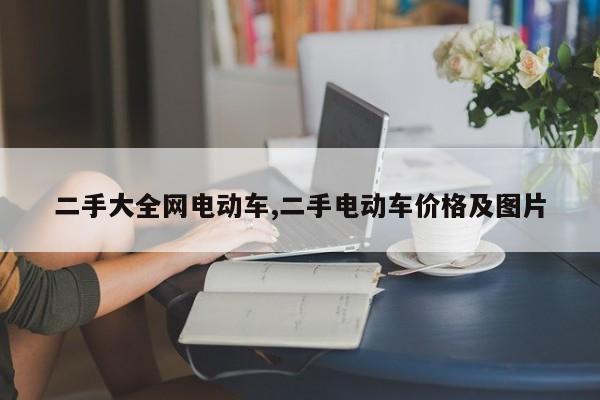 二手大全网电动车,二手电动车价格及图片