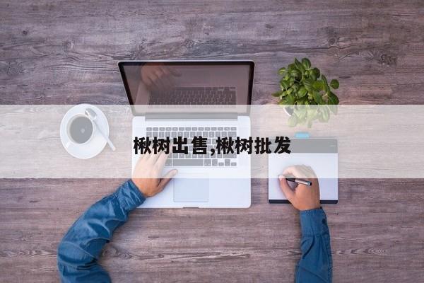 楸树出售,楸树批发