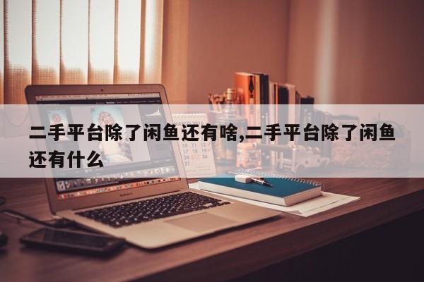 二手平台除了闲鱼还有啥,二手平台除了闲鱼还有什么